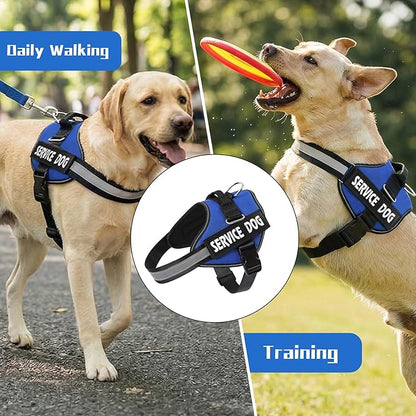 MUMUPET Service Dog Harness, No Pull Reflective Adjustable with Handle, Soft Breathable Padding for Small Dogs, 2 Removable Velcro Patches (Blue, S)