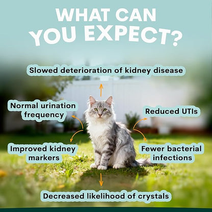 Petz Park Urinary + Kidney Support for Cats 60 Scoops, Cat Urinary Supplement, Tract Support Powder, Cat Food Topper for Wet or Dry Food, Made in Australia