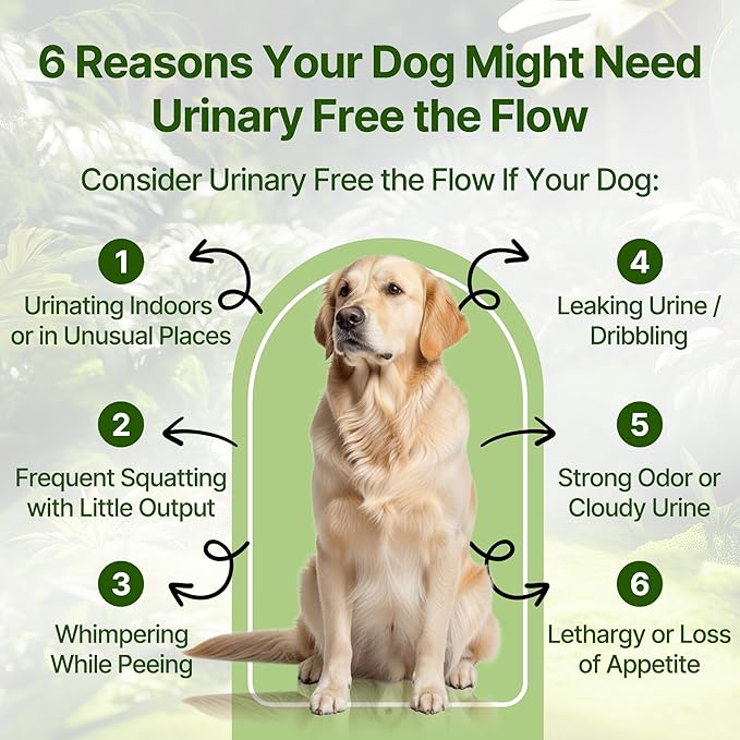 Bladder & Kidney Stones Dissolver for Dogs – Helps with Stone and Crystals Fragment Flush & Prevention – Natural Dog UTI Treatment, Herbal Vet-Formulated, Dog Urinary Tract Infection Treatment