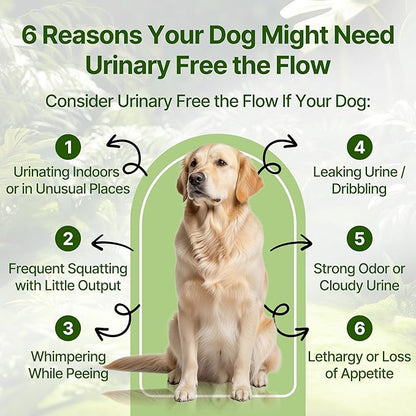 Bladder & Kidney Stones Dissolver for Dogs – Helps with Stone and Crystals Fragment Flush & Prevention – Natural Dog UTI Treatment, Herbal Vet-Formulated, Dog Urinary Tract Infection Treatment