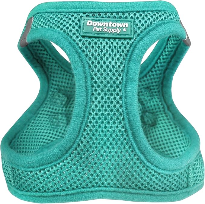 Downtown Pet Supply Step in Dog Harness for Teacup Dogs & Cats No Pull, XX-Small, Bermuda Blue - Adjustable Harness with Padded Mesh Fabric and Reflective Trim - Buckle Strap Harness for Dogs