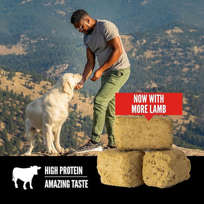 ORIJEN Grain Free High Protein Freeze Dried Dog Treats Regional Red Recipe 8oz Bag