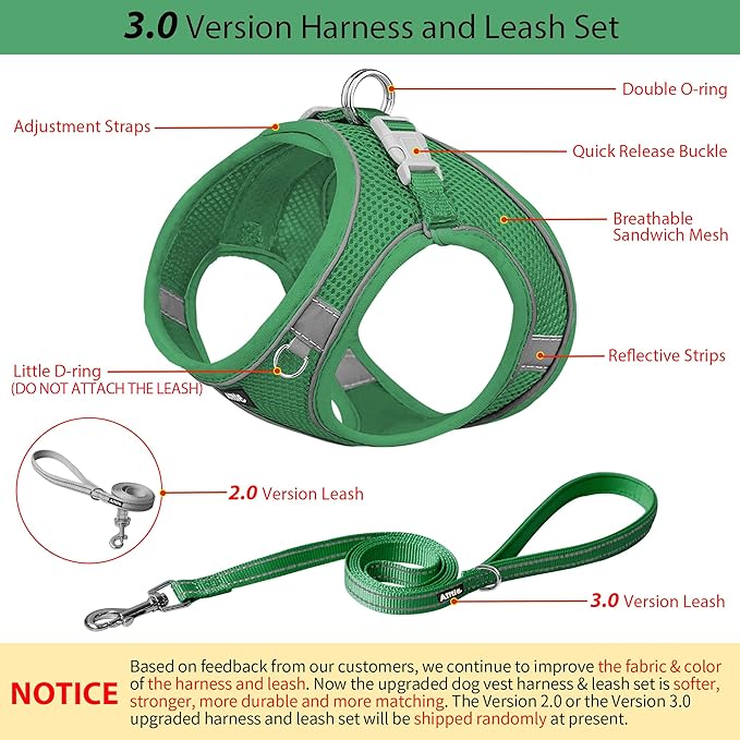 AIITLE Dog Harness, No-Pull Cat Harness with a Leash, Adjustable Reflective Dog Vest, Cat Harness Escape Proof, Outdoor Walking, Running,Training for Extra Small Dogs and House Cats Green XXXS