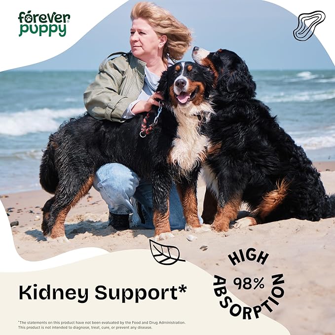 Forever Puppy Kidney Support Drops for Dogs - Cordyceps Mushroom, Astragalus, Stinging Nettle Leaf Extract - Liquid Dog Vitamins and Supplements - Sugar & Alcohol-Free Tincture - 2 fl oz