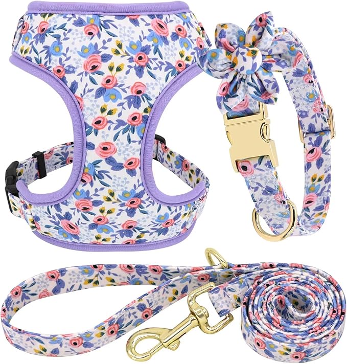 Beirui Cute Girl Dog Collars, Harnesses & Leashes Set - Adjustable Dog Collar and Leash Set with Flower - Soft Mesh Dog Vest Harness for Puppies Small Medium Dogs (Blue,XS)