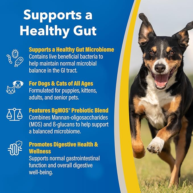 Doc Roy’s GI Synbiotics Probiotic & Prebiotic Supplemental Gel for Dogs & Cats, Digestive & Immune Health Supplement with Live Cultures, BgMOS & Beta Glucans, Chicken Flavor, 30ml Oral Gel