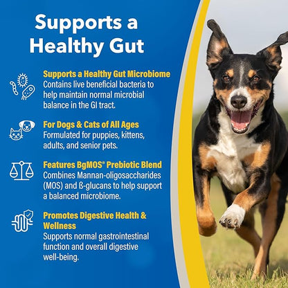 Doc Roy’s GI Synbiotics Probiotic & Prebiotic Supplemental Gel for Dogs & Cats, Digestive & Immune Health Supplement with Live Cultures, BgMOS & Beta Glucans, Chicken Flavor, 30ml Oral Gel