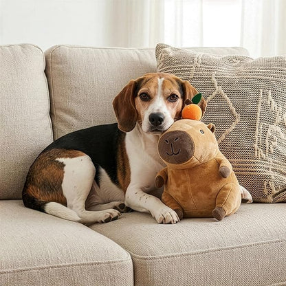 SPOT Capybara with Orange Plush Dog Toy, Soft Stuffed Squeaky & Crinkle Toy for Calm and Gentle Play, Adorable Capybara, for Light Chewers and Small Dogs, 8 Inch