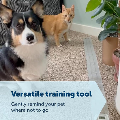 PetSafe ScatMat Indoor Training Mat