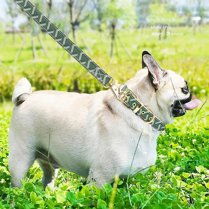 Leather Dog Collar and Leash Set, Check Pattern Dog Collar Leashes Metal Buckle Adjustable Durable for Small Medium Large Dogs (Green, M(11.8-15IN))