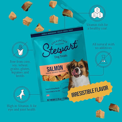 Stewart 100% Wild Salmon Dog Treats, 2.75 oz Pouch, ~55 Pieces, Freeze Dried Raw, Single Ingredient, 65% Protein Training Treats or Meal Topper, Grain Free, Gluten Free