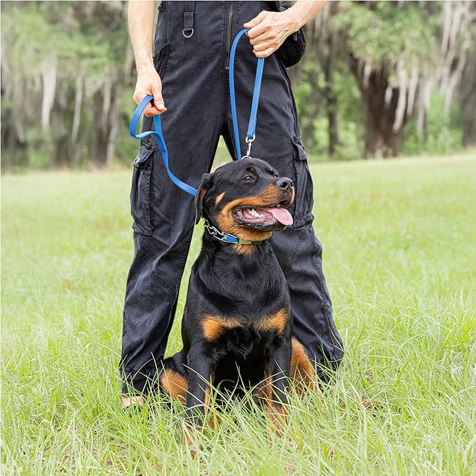 Herm Sprenger Chrome Plated Steel Dog Collar with Quick Release ClicLock Buckle O-Ring Biothane Insert Training Collar Made in Germany (Cerulean Blue, 22in x 3.0mm(Neck Size up to 18-19in))