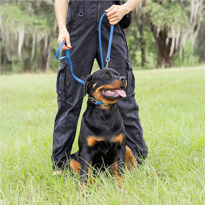 Herm Sprenger Chrome Plated Steel Dog Collar with Quick Release ClicLock Buckle O-Ring Biothane Insert Training Collar Made in Germany (Cerulean Blue, 22in x 3.0mm(Neck Size up to 18-19in))