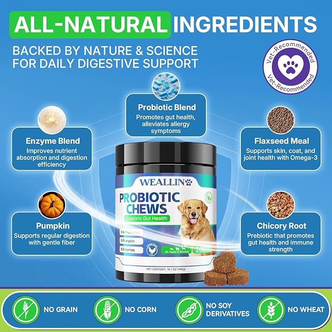 200 PCS Probiotics for Dogs - Dog Probiotic Chews for Gut Health, Digestive Support & Itchy Skin Relief Pet Diarrhea Gas Treatment - Probiotics, Digestive Enzymes, Prebiotics, Pumpkin
