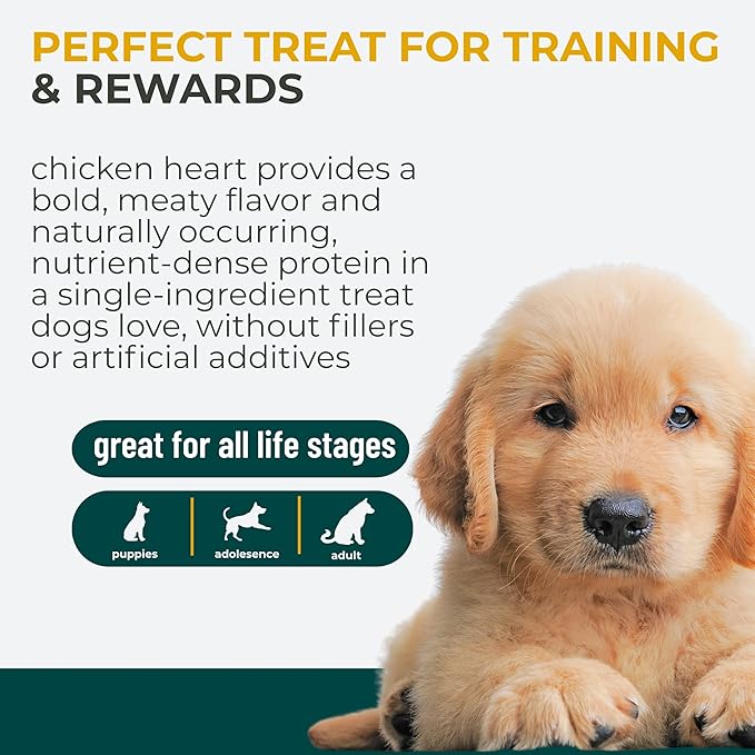 Momentum Carnivore Nutrition Freeze-Dried Chicken Heart Dog Treats & Cat Treats – Single-Ingredient, High-Protein, Grain-Free, Naturally Nutrient-Rich – Made in USA – 3.5 oz Bag