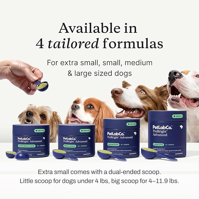 PetLab Co. ProBright Advanced Dental Powder - Dog Breath Freshener - Teeth Cleaning Made Easy – Targets Tartar & Bad Breath - Packaging May Vary - Formulated for Large Dogs