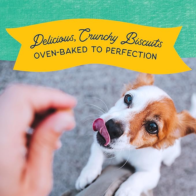 Natural Balance Limited Ingredient Rewards Crunchy Biscuits, Bite-Size Treats for Small-Breed Dogs, Made with Real Chicken, 8 Ounce (Pack of 2)