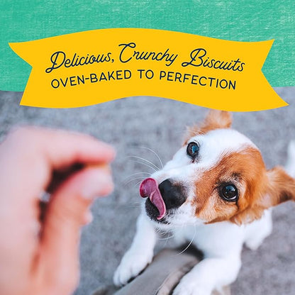 Natural Balance Limited Ingredient Rewards Crunchy Biscuits, Bite-Size Treats for Small-Breed Dogs, Made with Real Chicken, 8 Ounce (Pack of 2)