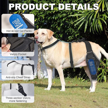 Dog Knee Brace for Torn ACL Hind Leg, Hind Leg Support with Removable Hot/Cold Gel Pack, Joint Pain & Mobility Relief, Left Leg, XL
