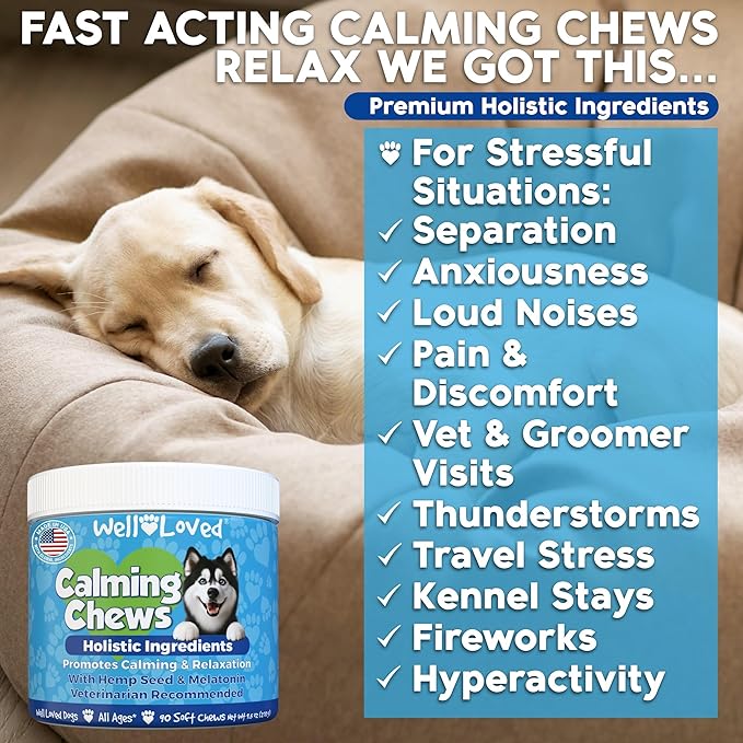 Well Loved Calming Chews for Dogs - Dog Calm Treats, Made in USA, Vet Developed, Behavior Support, Stress, Separation, Fireworks, Travel, Melatonin, Natural & Holistic, 90 Count