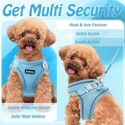 AIITLE Small Harness for Puppy with A Leash - Dog Vest Harness with Super Breathable Mesh, Reflective No-Pull Pet Harness for Outdoor Walking, Running for Small Dogs, Cats Pure Blue XXS