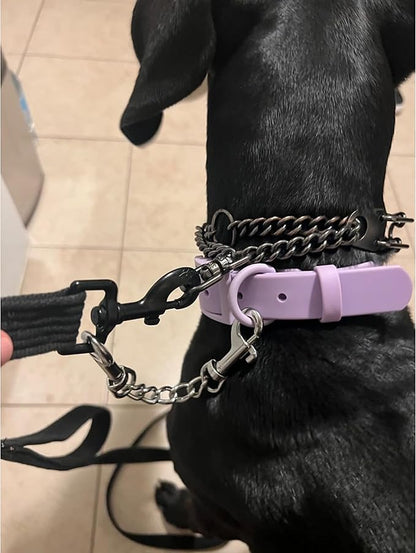 MOZETO Dog Collar Safety Clip, Stainless Steel Heavy Backup for Prong Collar, Dog Harness Collar Leash Connector (7 inches)