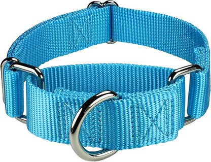 Mikivery Martingale Dog Collar Nylon Adjustable and Safety Training Colourful Comfortable Metal Buckle Pet Collars for Small Medium and Large Dogs(Ice Blue,L)