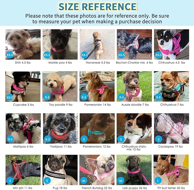 Lukovee No Pull Dog Harness and Leash Set, Soft Padded Small Dog Harness, Neck & Chest Adjustable Reflective Vest Puppy Harness with 4ft Lightweight Anti-Twist Dog Leash for Small Dogs (S, Green)