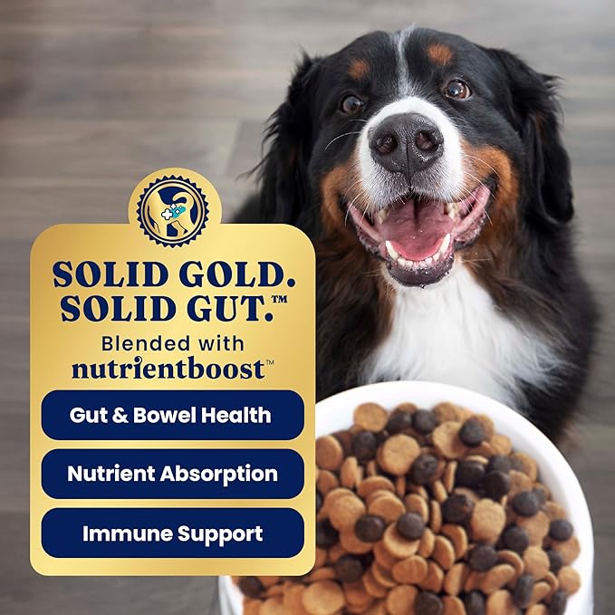 Solid Gold Lamb Dog Food Dry for Adult & Senior Dogs– High Protein Healthy Dog Kibble for Medium & Large Breeds – Whole Grain, Omega 3 & Probiotics for Gut Health & Digestion – Nutrientboost™ –3.75LB