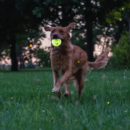 Chew King by Mammoth Glow-in-the-Dark Dog Fetch Balls (2-Pack), Lattice Rubber Fetch Toys for Night Play, High Bounce, Rechargeable Under Any Light, Medium 3.25"