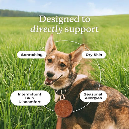PetLab Co. Itch Relief Chews - Support for Dry, Occasionally Itchy Skin & Coats - Formulated with Turmeric, Omega 3 & 6, Honey - Packaging May Vary