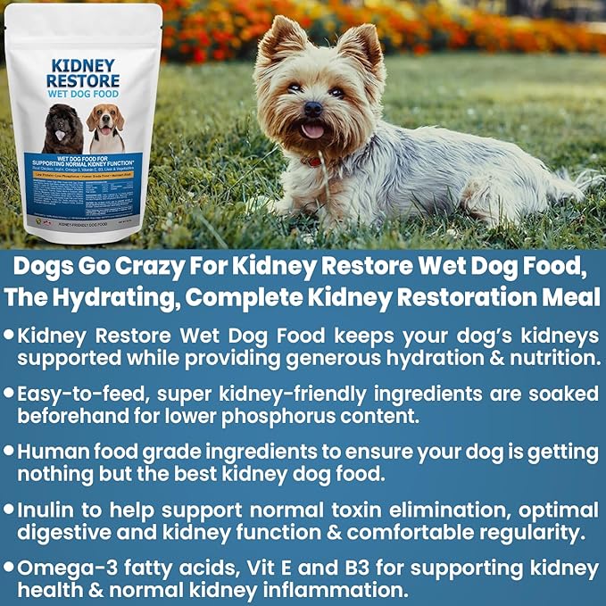 Non-Prescription Kidney Care Dog Food for Renal Support - Low Sodium Diet for Healthy Kidneys, Low Phosphorus Renal Food, Super Nutrients Make This Best Kidney Diet, Freshly Made in USA - 16 Ounce