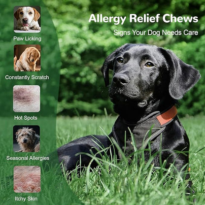 Dog Allergy Relief Chews, Natural Dog Itch Relief Chews with Omega-3, Astragalus & Turmeric for Immune Support, Prebiotic for Dog Skin Allergy Relief, Paw Licking & Seasonal Itching-300ct