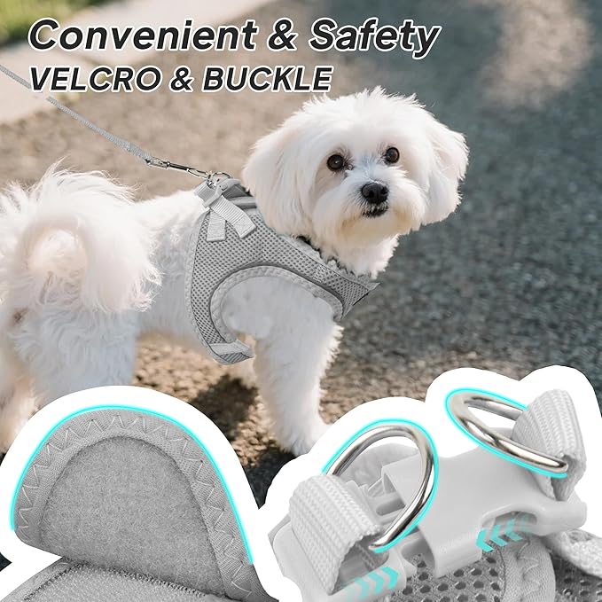 PetiFine Step in Small Dog Harness and Leash Set, Breathable All Weather Air Mesh Reflective Escape Proof, Step-in Vest Harnesses for Puppy(XS, Grey)