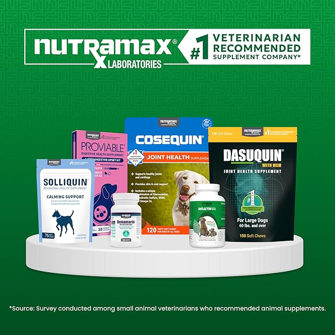 Nutramax Solliquin Calming Behavioral Health Supplement for Small to Medium Dogs and Cats - with L-Theanine,Magnolia/Phellodendron,and Whey Protein Concentrate,75 Soft Chews,(Pack of 2)