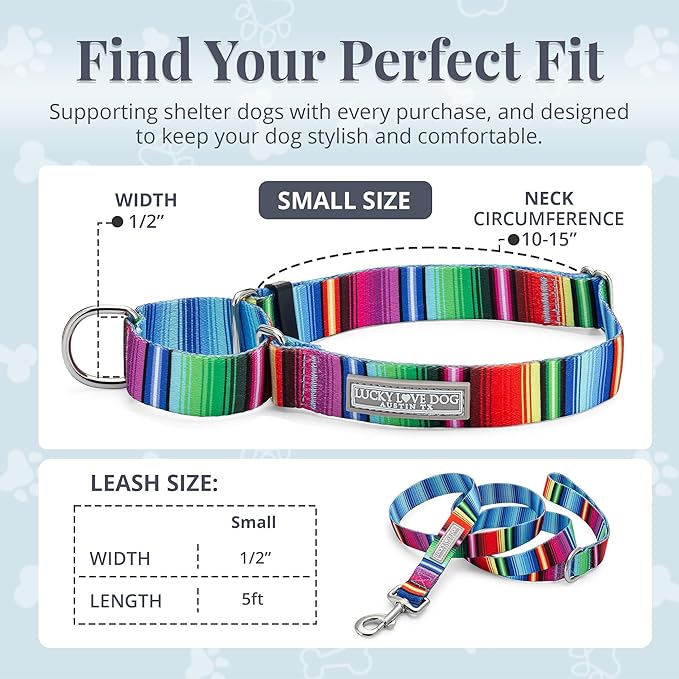 Lucky Love Dog Martingale Dog Collar & Leash - Adjustable, No-Slip, Durable, Comfortable, Soft Webbing, & Stylish Patterned Collar & Leash Set for Male and Female Dogs - Nacho Combo, Small