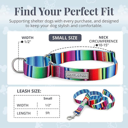 Lucky Love Dog Martingale Dog Collar & Leash - Adjustable, No-Slip, Durable, Comfortable, Soft Webbing, & Stylish Patterned Collar & Leash Set for Male and Female Dogs - Nacho Combo, Small