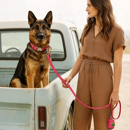 Didog Soft PU Leather Dog Collar, Stylish Quick Released Dog Collars for Large Dogs, Easy Clean Adjustable Pet Collar for Daily Walking, Red, XL Fit 20-26" Neck