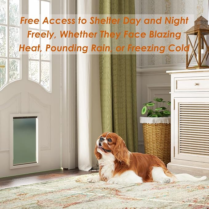 Dog Door Replacement Flaps with Screw, Medium Pet Door Replacement Flap Compatible with PetSafe Freedom PAC11-11038, Weather-Proof & No Warped for Medium Dogs, Cat Doggie Flaps,12 7/8'' × 8 1/8''