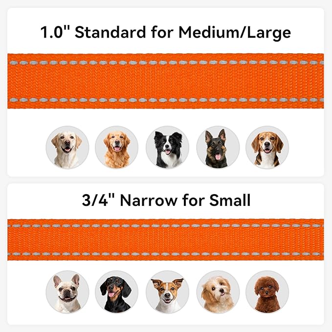 Joytale Dog Leash, 5 FT Double-Sided Reflective, Padded Handle Nylon Heavy Duty Leashes for Small Dogs Walking, Orange