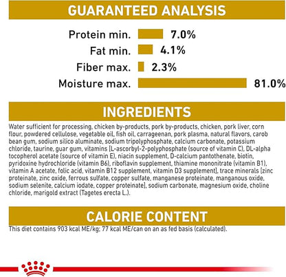 Royal Canin Breed Health Nutrition Chihuahua Adult Loaf in Sauce Dog Food, 3 oz (Pack of 6)