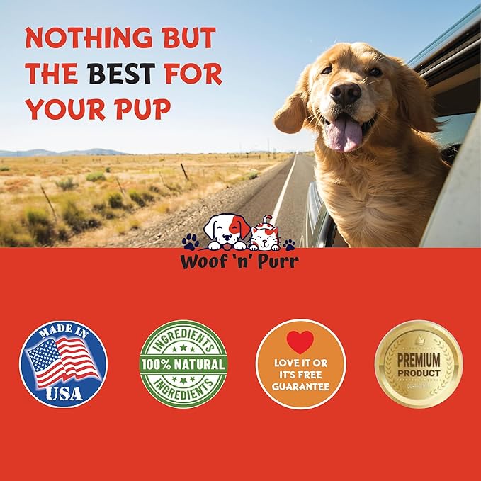 Dog Antibiotics for Infection, Coughs, UTIs, Allergies, Itching | Natural Antibiotics for Dogs to Support Skin, Coat, & Digestion | for All Breeds & Ages | 1 fl oz