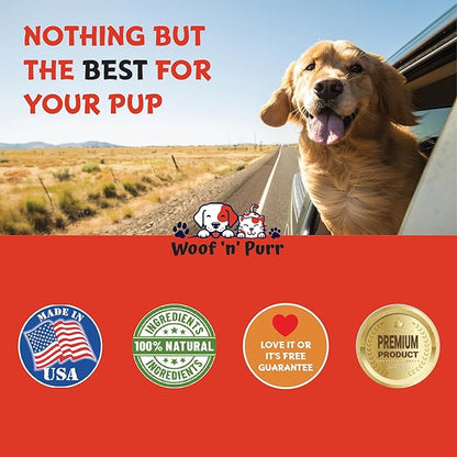 Dog Antibiotics for Infection, Coughs, UTIs, Allergies, Itching | Natural Antibiotics for Dogs to Support Skin, Coat, & Digestion | for All Breeds & Ages | 1 fl oz