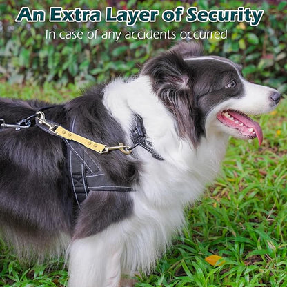 PetBonus Dog Collar Safety Clip, Waterproof Backup Safety Strap for Dog Harness to Prong Collar, Odor Proof Double Ended Clasp Leash Connector for Training Walking (Sand)
