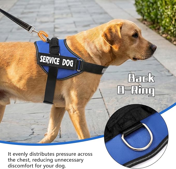 MUMUPET Service Dog Vest Harness, No Pull Reflective Adjustable with Handle, Soft Breathable Padding for Small Dogs, 2 Removable Velcro Patches (Blue, XS)