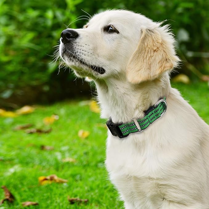 Hikiko Martingale Dog Collars Reflective Nylon Dog Collar with Quick Release Buckle Adjustable Training No Slip Dog Collar (Medium, Green)