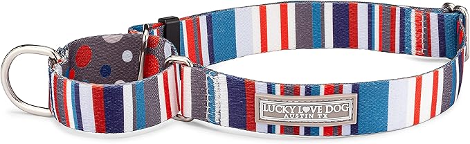 Lucky Love Dog Martingale Dog Collar - Adjustable, No-Slip, Durable, & Soft Webbing Collar for Male and Female Dogs Ideal for Training & Walking - Linus, Small