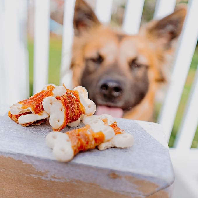 Cadet Gourmet Chicken Wrapped Biscuit Dog Treats, Training Treats for Small and Large Dogs, Inspected & Tested in USA, 14 oz.