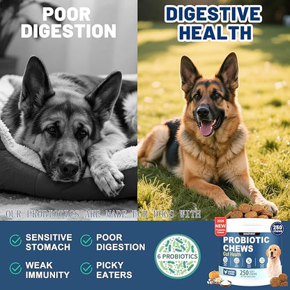 Probiotics for Dogs, Dog Probiotics Chews for Digestive Health & Gut Health, Improve Immune System,Constipation & Diarrhea Relief(Chicken Flavor, 250 Chews)