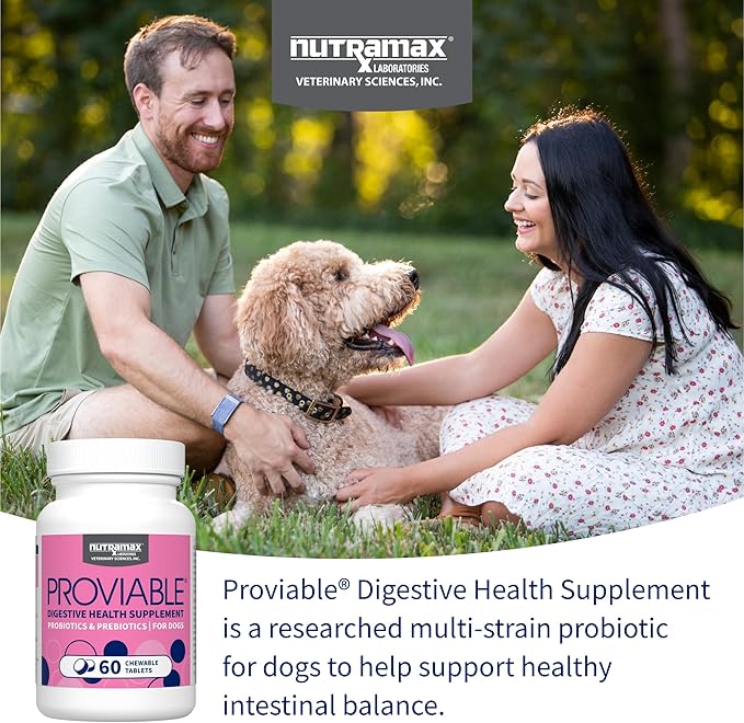 Nutramax Proviable Probiotics for Dogs, Daily Digestive Health Supplement with Multiple Strains of Bacteria, Dog Probiotics Plus Prebiotics, 60 Chewable Tablets,(Pack of 2)